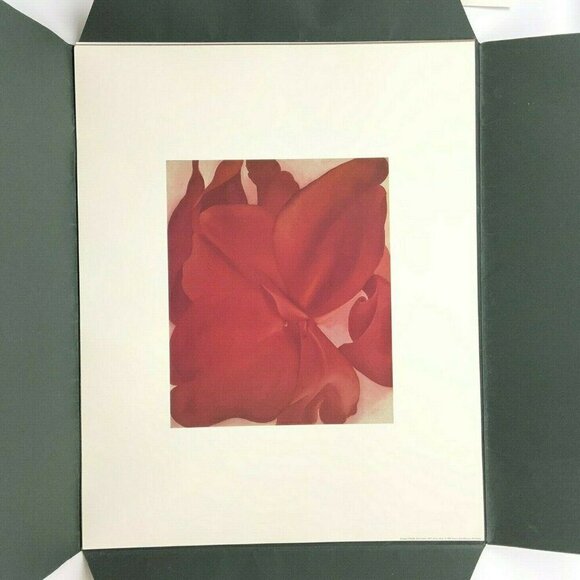 Amon Carter Museum 1988 Fruit Flowers Art Prints Portfolio 16x20 Set Of 5 - Picture 7 of 12